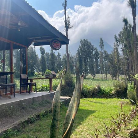 Ngadisari Gangga Guest House Bromo מראה חיצוני תמונה